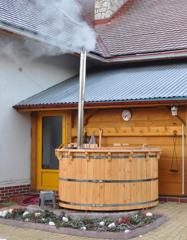 Dom Tulipan Villa Krynica Zdroj Buitenkant foto